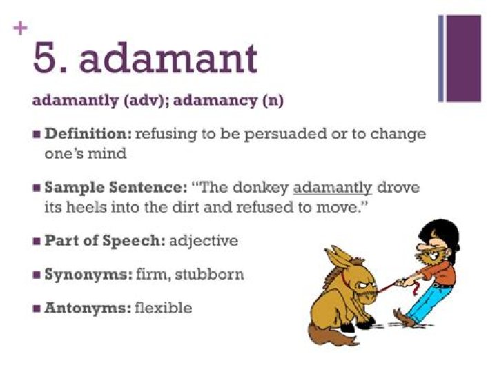 adamant synonym
