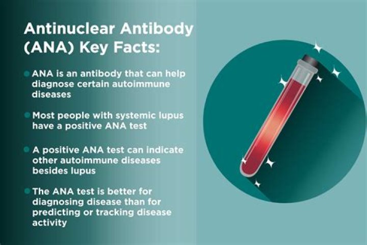 ana medical term