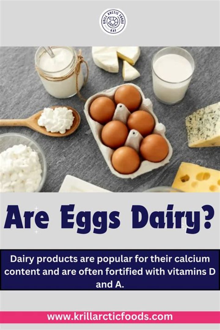 are eggs dairy