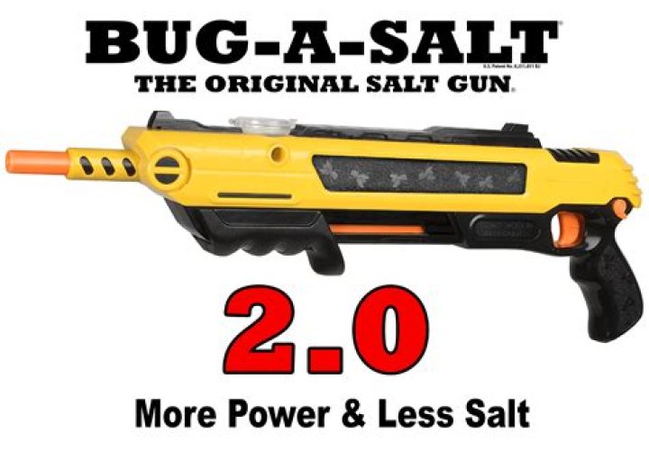 bug-a-salt