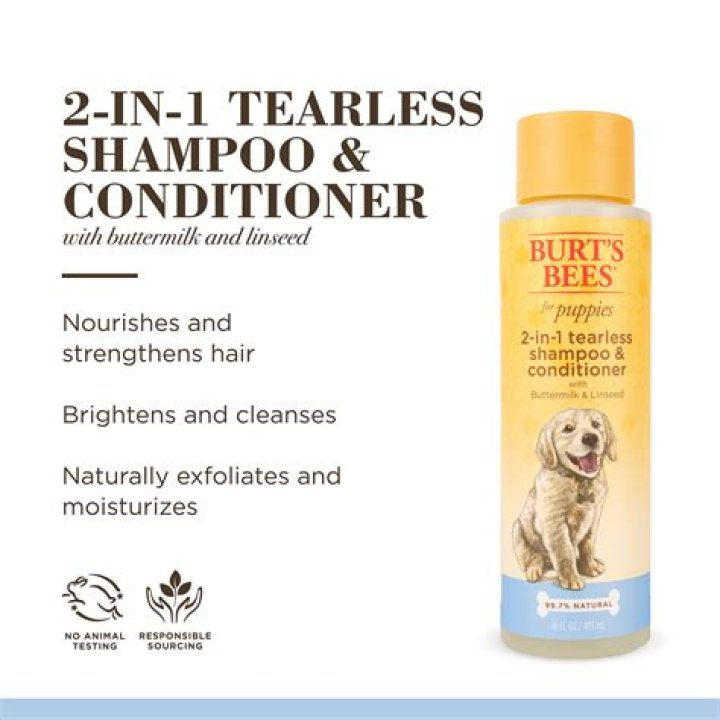 burt’s bees dog shampoo