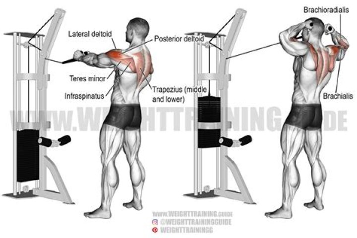 cable face pulls