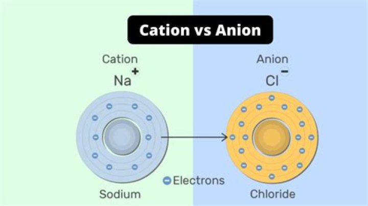 cation vs anion