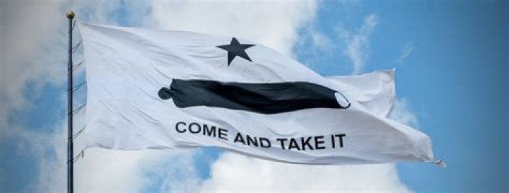 come and take it meaning