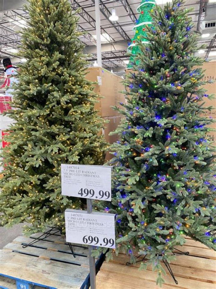 costco christmas tree