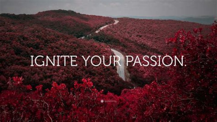 Discoveries That Will Ignite Your Passion