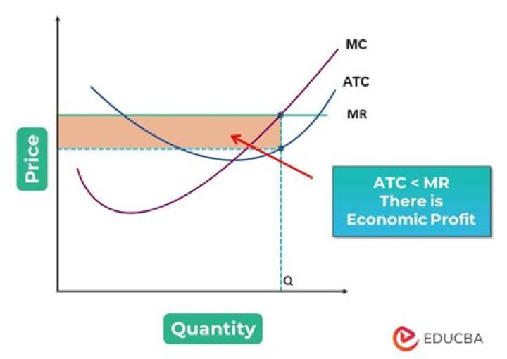 economic profit