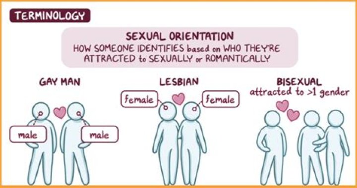 Exploring The Speculations Surrounding Mike Rowe's Sexual Orientation