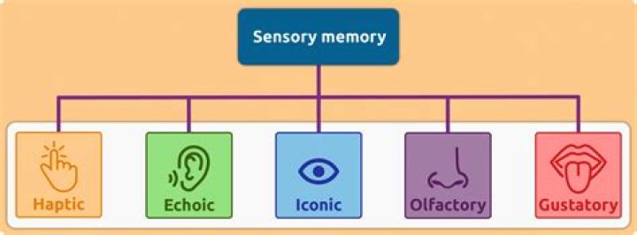 Identity, Memory, And The Body