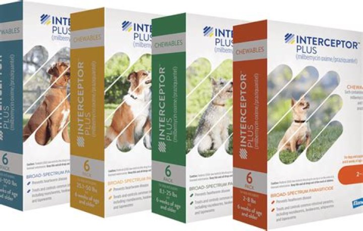 interceptor plus for dogs