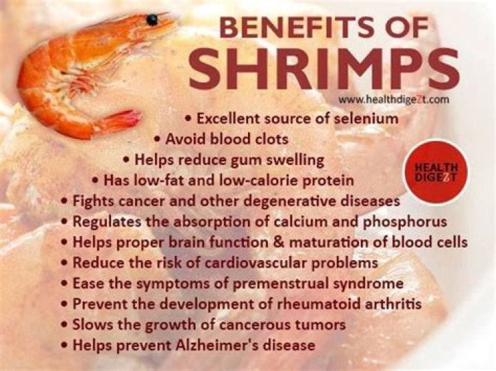 is shrimp good for you