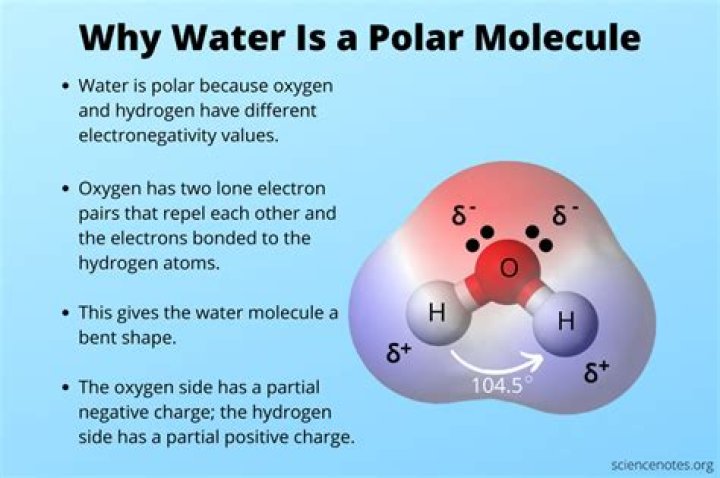 is water polar