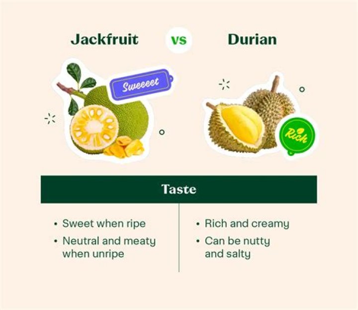 jackfruit vs durian