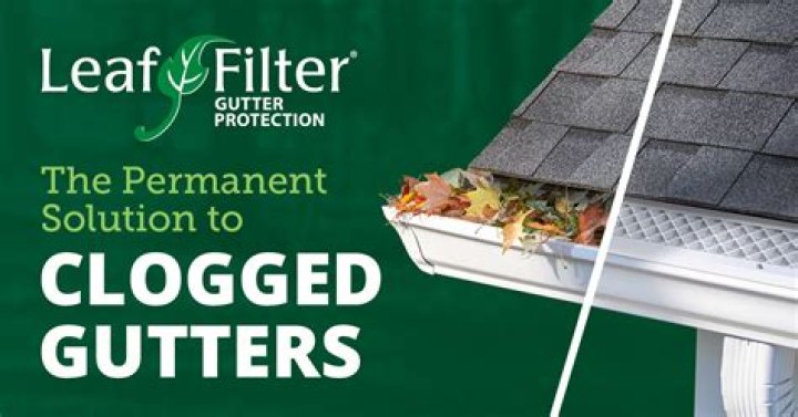 leaf filter cost