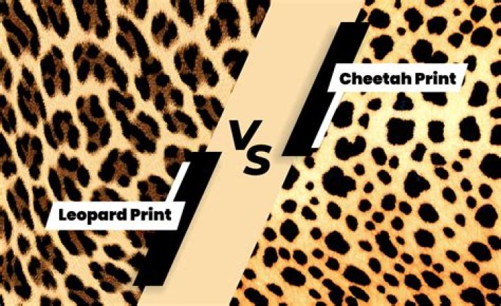 leopard print vs cheetah print