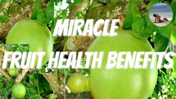 miracle fruit benefits