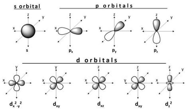 orbital shapes