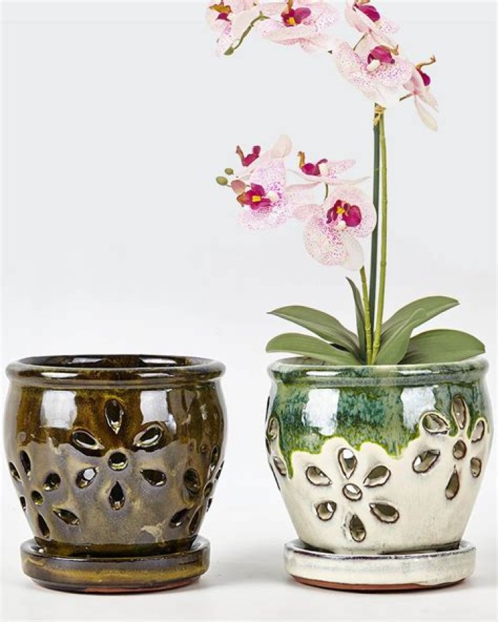 orchid pots with holes