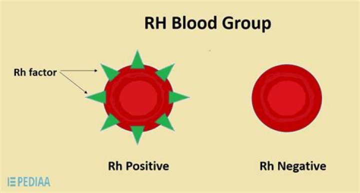 rh negative blood type origin