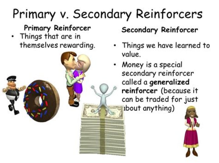 secondary reinforcer