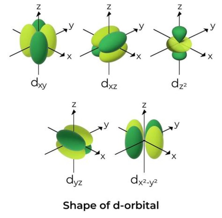 shape of d orbital