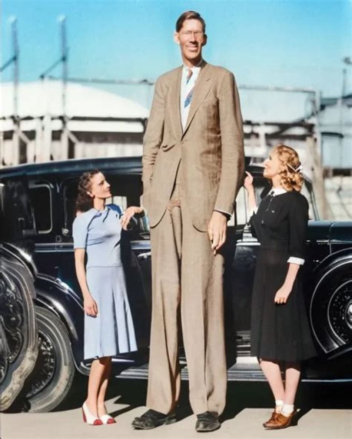 tallest human ever