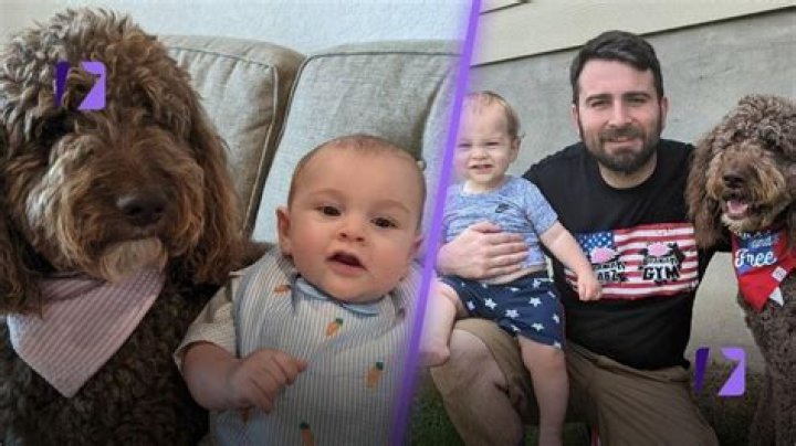 Tom Segura's Family Life Revealed