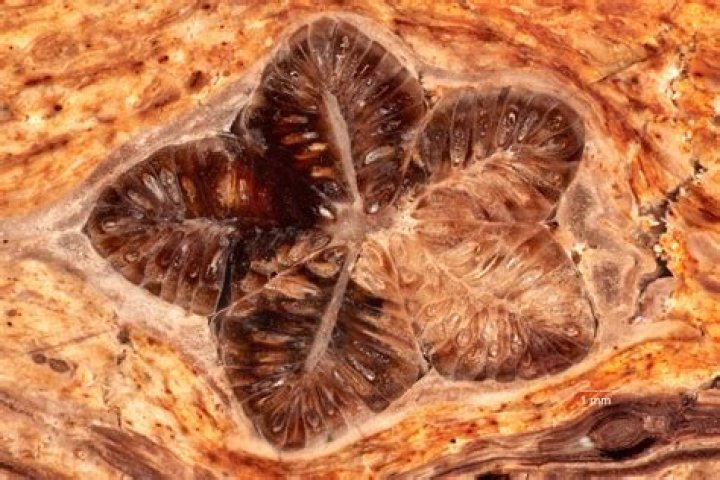 Unveiling The Secrets Of Rocks: 10 Extraordinary Discoveries