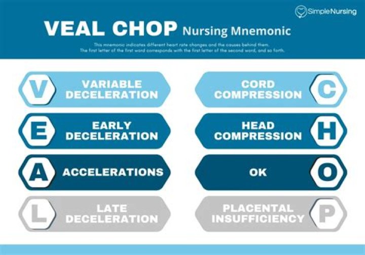veal chop nursing