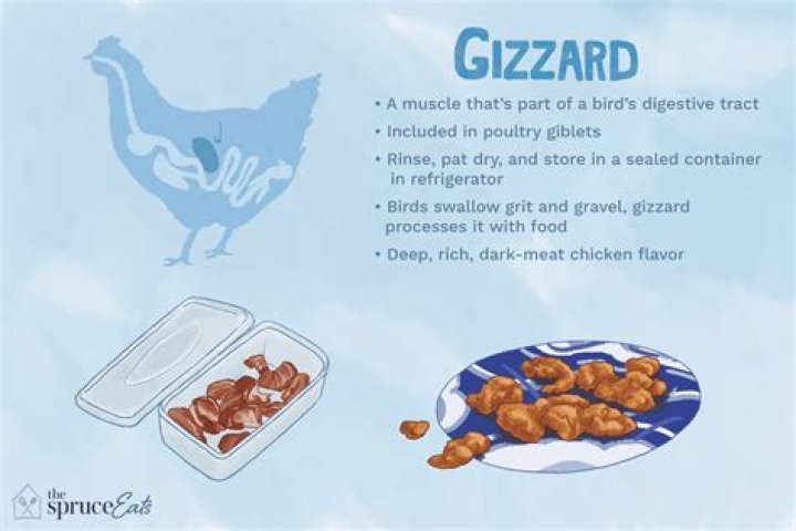 what are gizzards