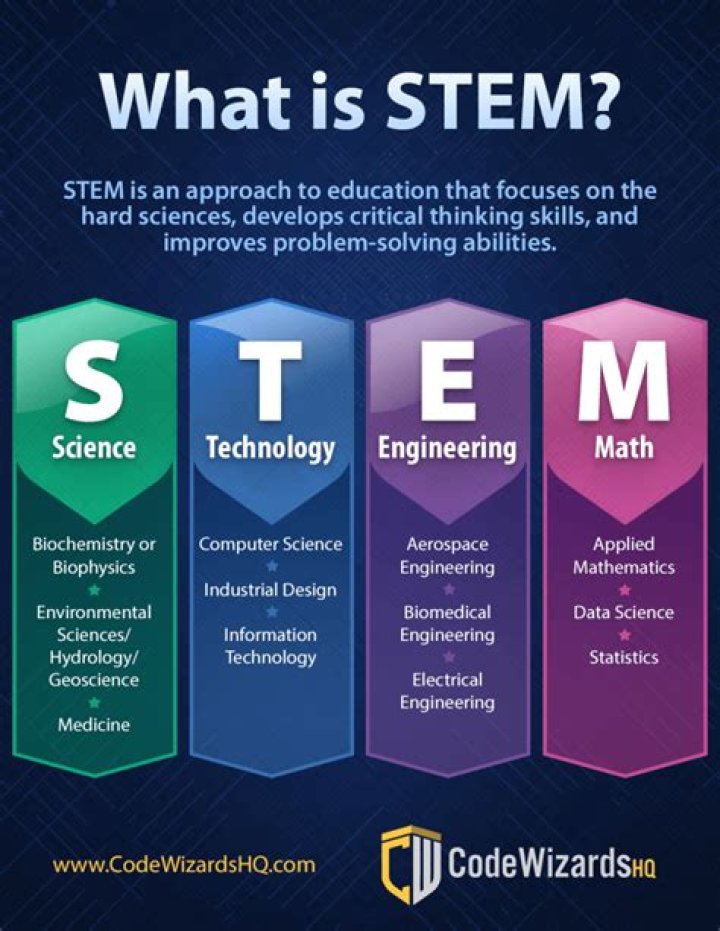 what does stem mean