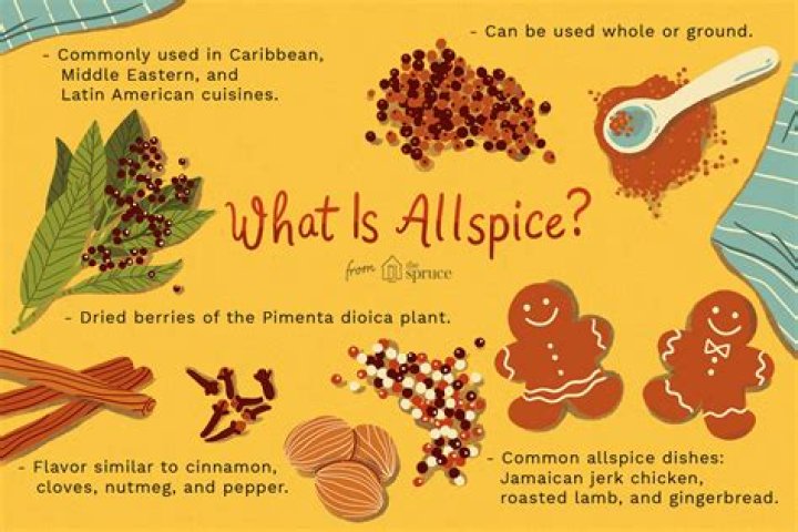what is allspice