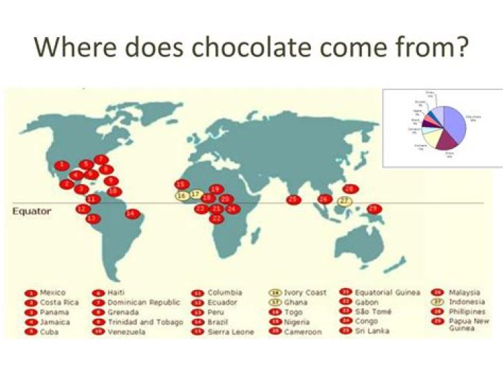 where does chocolate come from